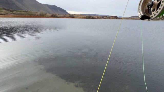 Kayak Fishing a Desert Lake for Trout - Fly Fishing Friends & Great Fishing! смотреть онлайн
