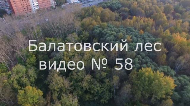 Балатовский лес № 58 смотреть онлайн