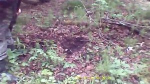 необычный способ добывания червей для рыбалки для ленивых