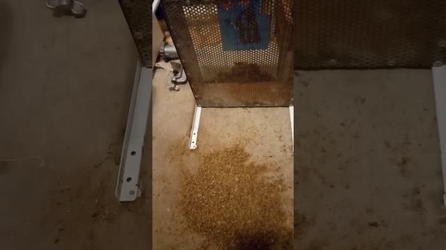 14 февраля 2022 г. смотреть онлайн