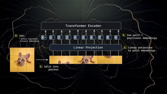 Vision Transformers (ViT) Explained + Fine-tuning in Python смотреть онлайн