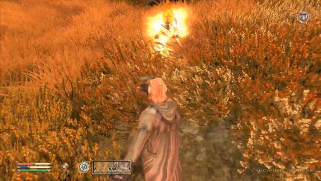 ролевое Прохождение TES4 Oblivion. Агент-Чародей (5) : Рыцари Деваяти - пророк. смотреть онлайн