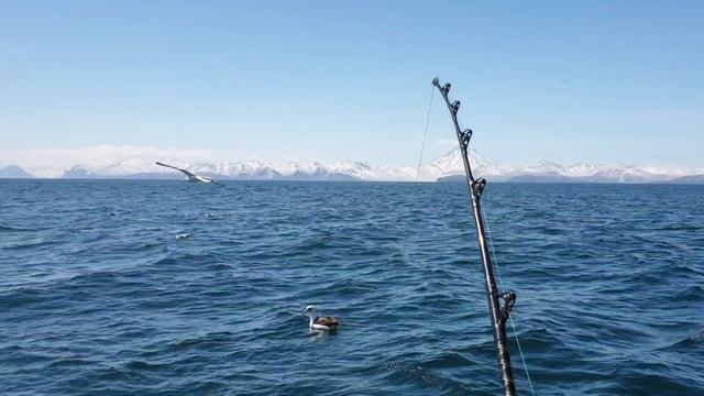 Глубоководная рыбалка на красного окуня 17.05.2019(4k). смотреть онлайн