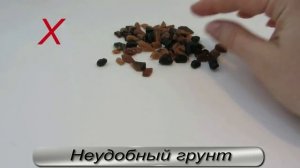 Учимся запускать аквариум. Часть 1 - совершаем типичные ошибки