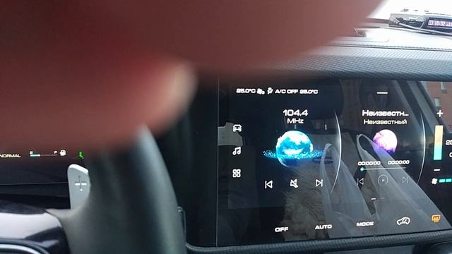 HAVAL DARGO  заводим в мороз -30