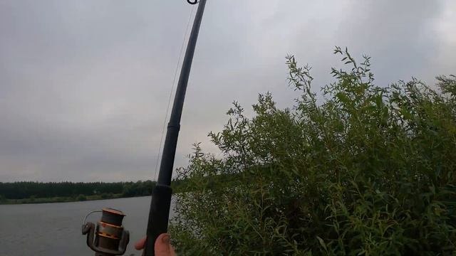 Рыбалка в деревне рядом с домом,ловим большую плотву на поплавок,жор плотвы. смотреть онлайн