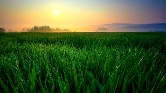 Хаджат-намаз: ценность, которую мы не замечаем смотреть онлайн