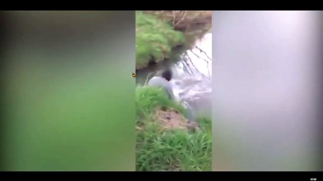 (РЕАКЦИЯ) MINECRAFT ПРОТИВ REAL LIVE ЧАСТЬ 4!//Енот и Лис//МЕМЫ И БАТОН! МНОГО БАТОНА!!!! смотреть онлайн