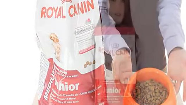 Royal canin medium junior (puppy) смотреть онлайн