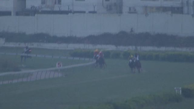 Tenth Attraction with Md Ismail up wins The Mock Race on 27-11-2021 смотреть онлайн