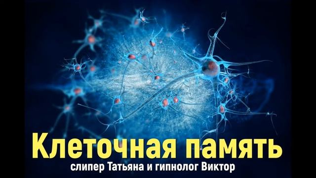 Клеточная память, механизмы памяти смотреть онлайн