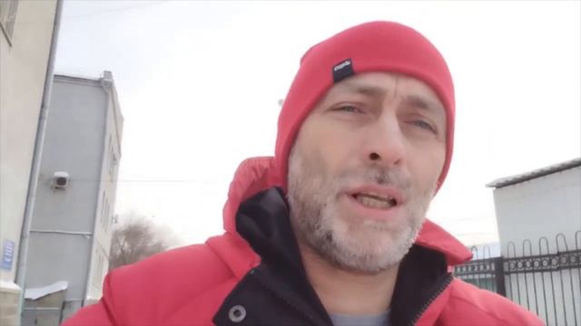 СТАРОКИРОВСКАЯ СТАЯ СОБАК