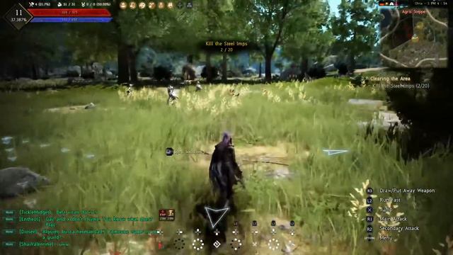 Road to Platinum: Black Desert! смотреть онлайн