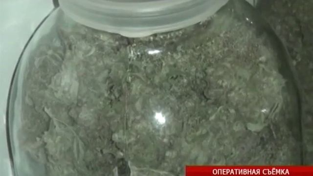 Петрозаводчане выращивали дома коноплю смотреть онлайн