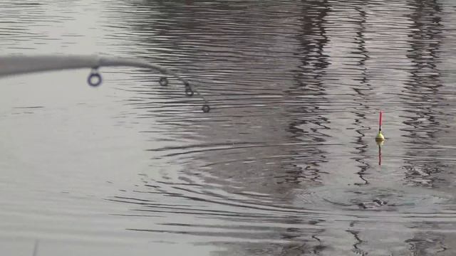 Такого клёва я не ожидал.Рыбалка на карася.Карась не даёт отдохнуть. смотреть онлайн
