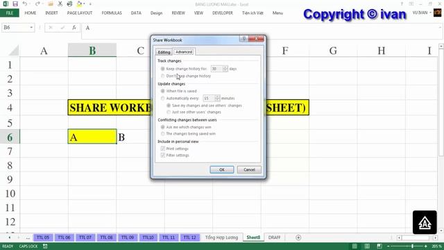 Chia sẻ File Excel | Vì sao Không Xóa Được Sheet | Share Workbook - Can't Delete Sheet смотреть онлайн