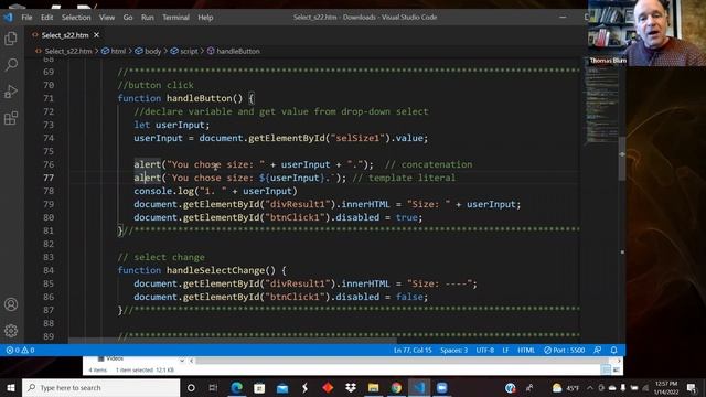 HTML CSS JavaScript Demo: Select Option смотреть онлайн