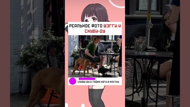 #short #shorts #мем #мемы #прикол #юмор #funny смотреть онлайн