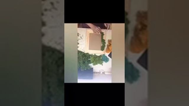 Фото-рамка из стабилизированного мха своими руками.(Zelenka show4) смотреть онлайн