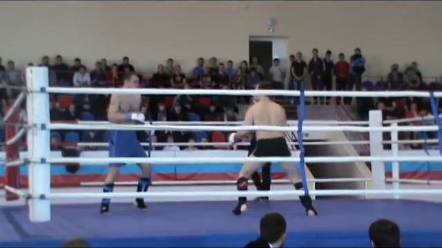 Чемпионат Мордовии по ММА avi 2 смотреть онлайн