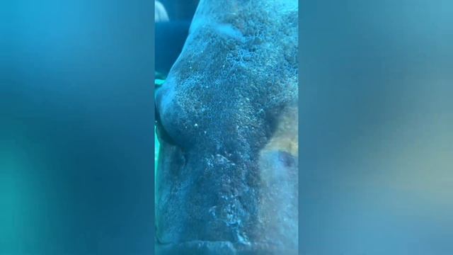 #Relaxingmusic#pianomusic#romanticmusic Раслабляющее видео, видео заставка на экран вашего теле