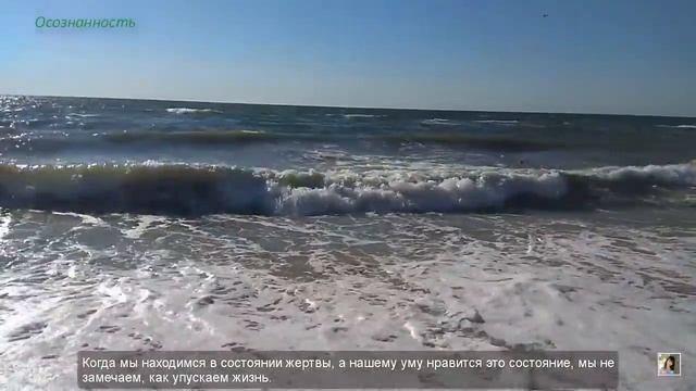 Почему МЕДИТАЦИЯ необходима современному ЧЕЛОВЕКУ. Здоровый взгляд на мир. смотреть онлайн