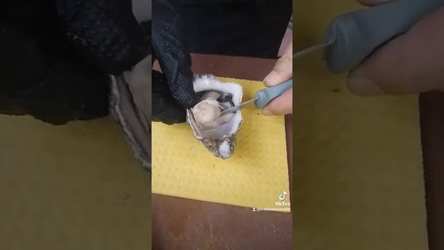 "Святой Патрик" как открыть устрицу. Сливочная ирландская устрица. Устричный нож. Харьков смотреть онлайн