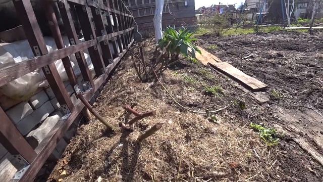 Дела огородные / Рыбалка смотреть онлайн