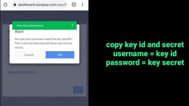 How to Generate Authorization Basic Key for Razorpay Payment Details смотреть онлайн