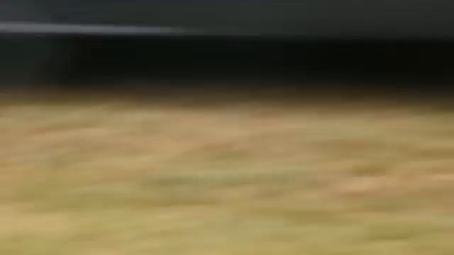 FALCON FORD FPV GT 335 . смотреть онлайн