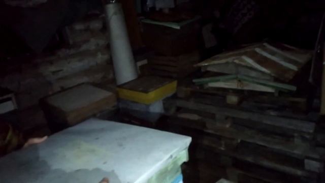 Пчеловодство - Контроль зимовки в омшанике, устраняю сырость в ульях смотреть онлайн