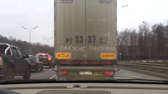 Свежие пингвины смотреть онлайн