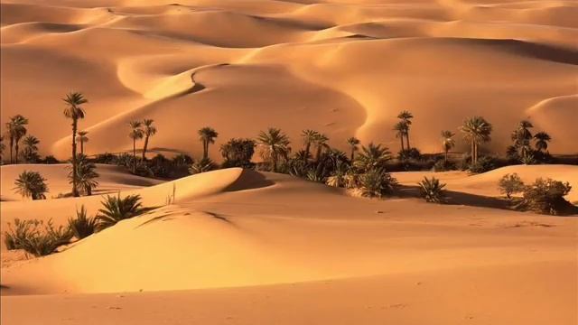 i miss you like the deserts miss the rain смотреть онлайн