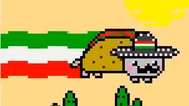 Mexican Nyan Cat