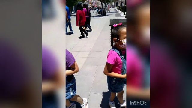 ke bonito es Chihuahua 😊 смотреть онлайн