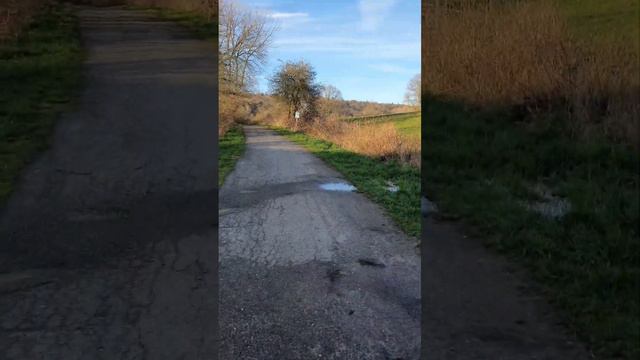 Der Weg zum Grab von Graf Ulrich von Brockdorff-Rantzau смотреть онлайн