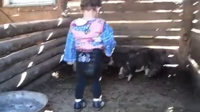 Поросята водят хоровод (музыка - "Каравай") смотреть онлайн