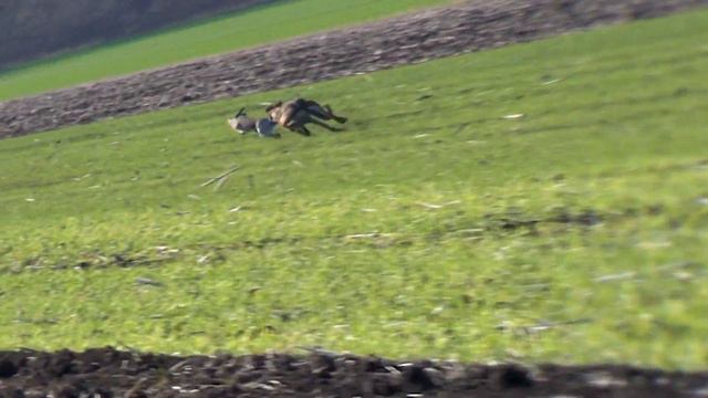 Кущевские испытания 06 12 2019г часть 2 смотреть онлайн