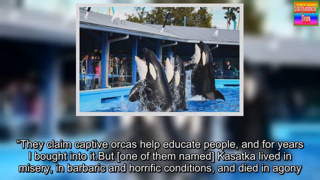 Former Sea World Trainer Blasts Park For Whale Abuse смотреть онлайн
