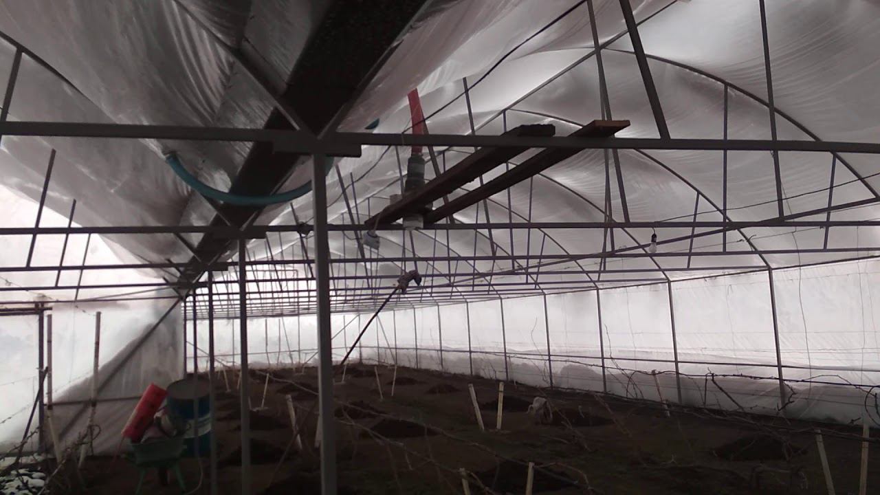 СНЕГОПАД И ТЕПЛИЦА.СИЛЬНЕЙШИЙ СНЕГ НА КУБАНИ. смотреть онлайн