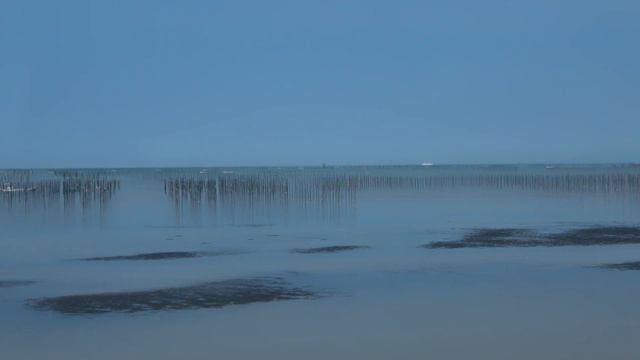 Japan Travel: TRAIN FULL OF GORGEOUS DECORATION - Amakusa Trip by Limited Express A Train смотреть онлайн