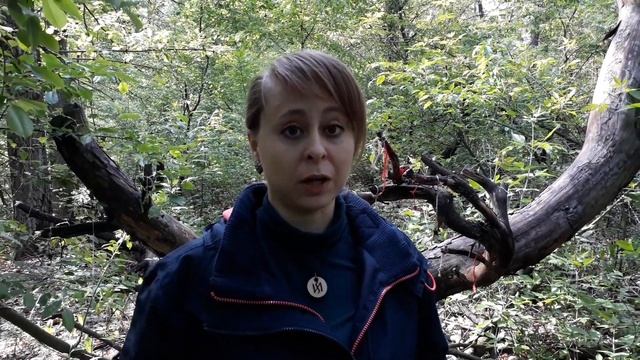 Юлианна Колдовко- порча на три гвоздя! смотреть онлайн