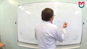 Гемостаз первая часть