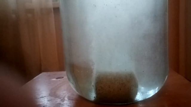 донный планктон на толстолоба смотреть онлайн