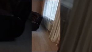 VID-20240109-WA0066.mp4