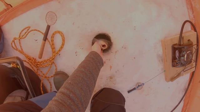 Карп зимой клюет! Верь, КОРМИ и Жди - 3 главных принципа ловли карпа зимой из подо льда! смотреть онлайн