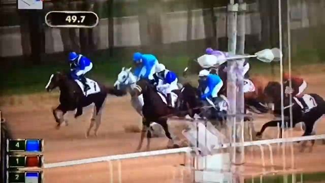 Скачки на лошадях, московский ипподром, открытие. смотреть онлайн