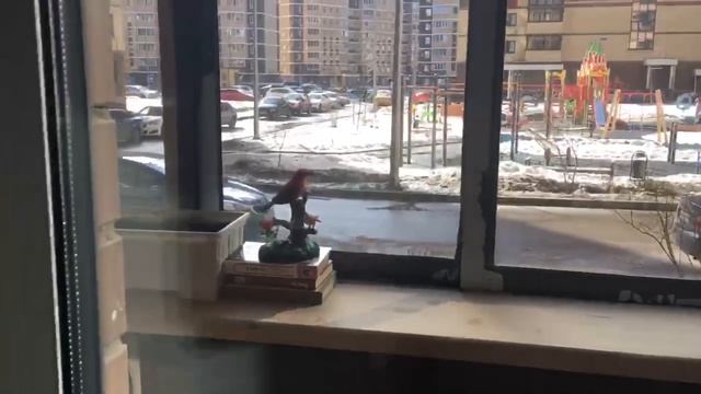 Подмосковье, Пушкино, подготовка к лету. смотреть онлайн