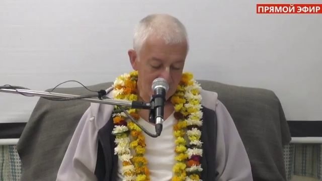 Прямая трансляция пользователя Александр Хакимов. Прямые трансляции смотреть онлайн