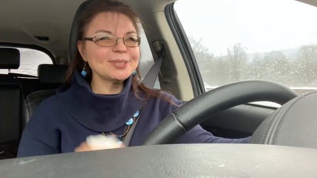 Дрессировка и ее фундамент или с чего начать обучение.С Вами кинолог Наталья Севостьянова смотреть онлайн